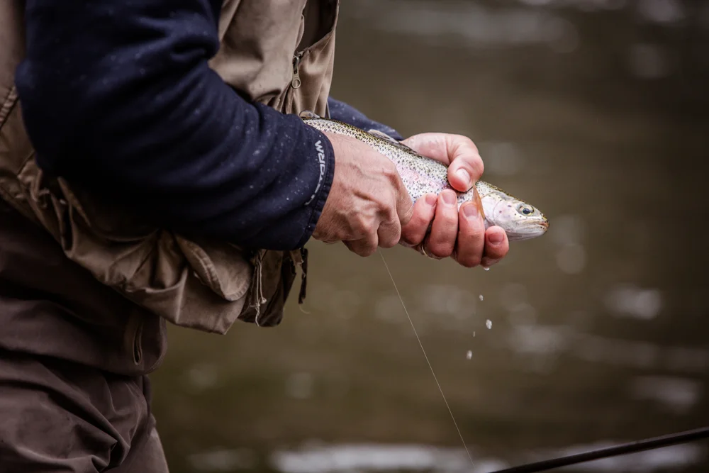 fly fishing