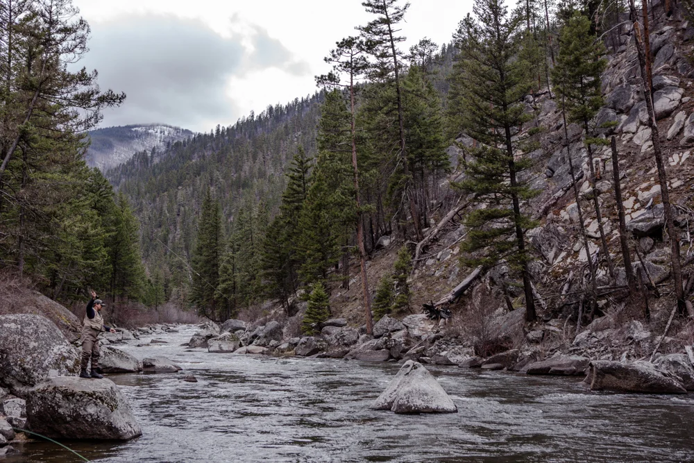 fly fisherman