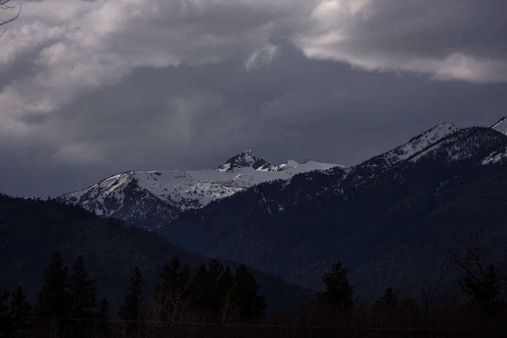 Montana