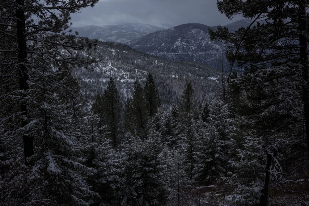 Rattlesnake Wilderness