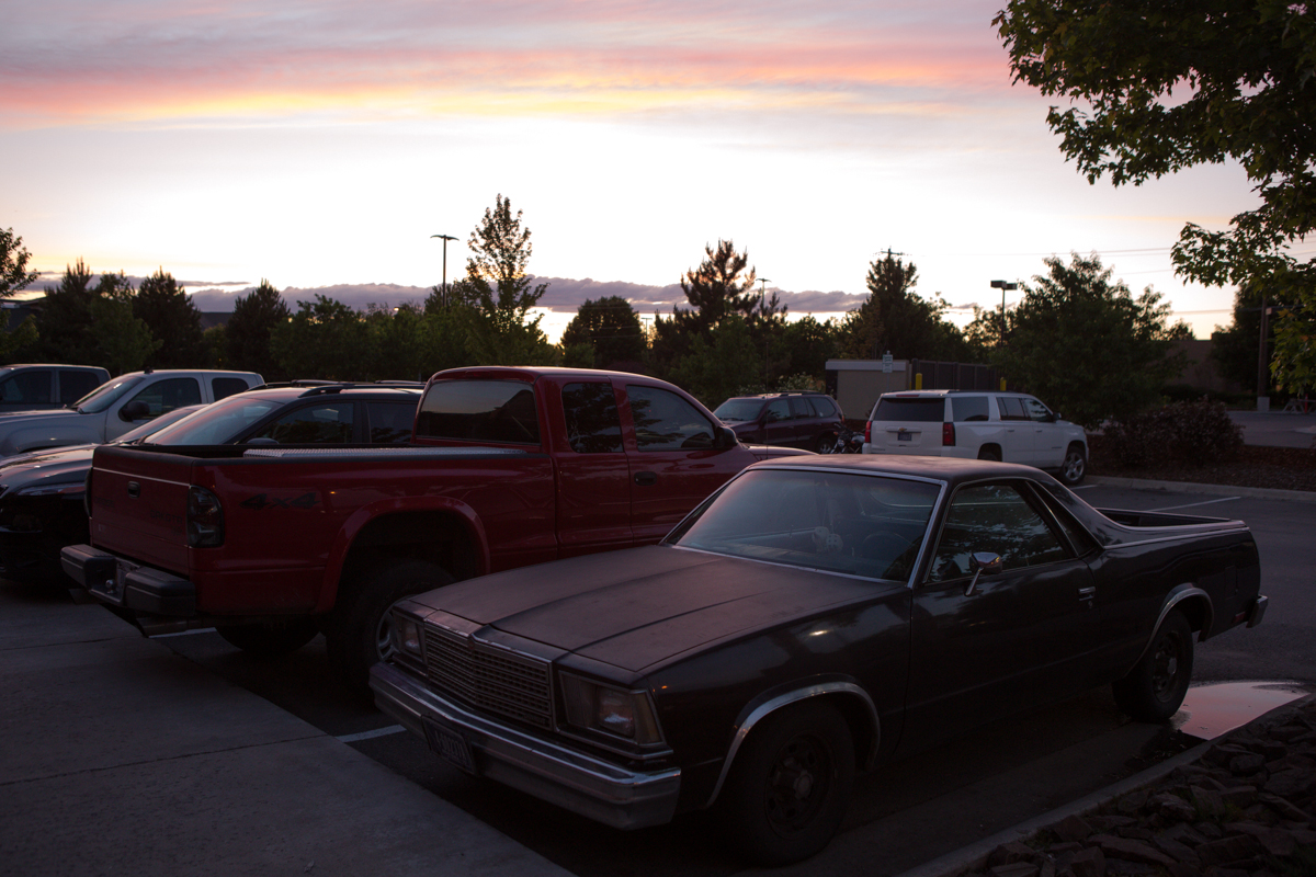el camino