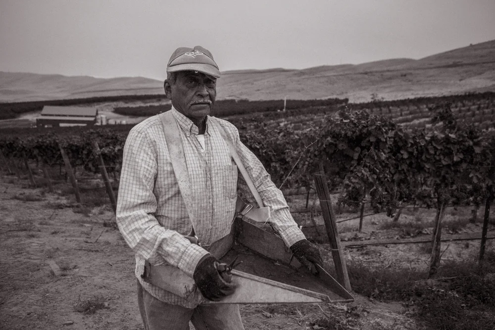 Owen Roe