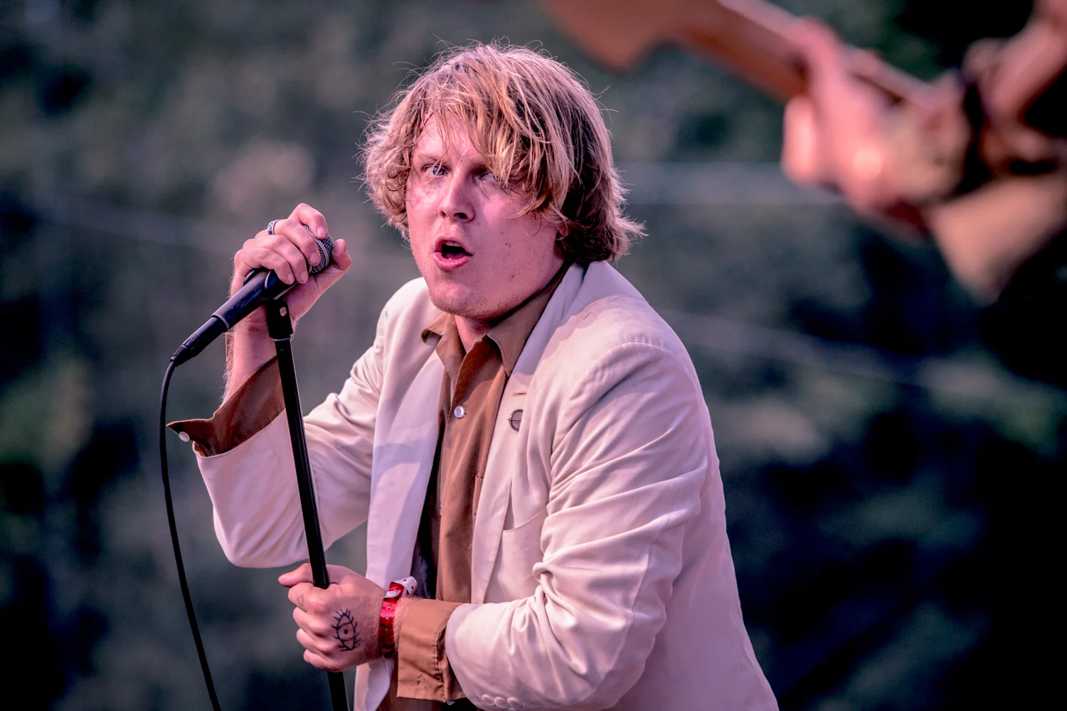 Ty Segall