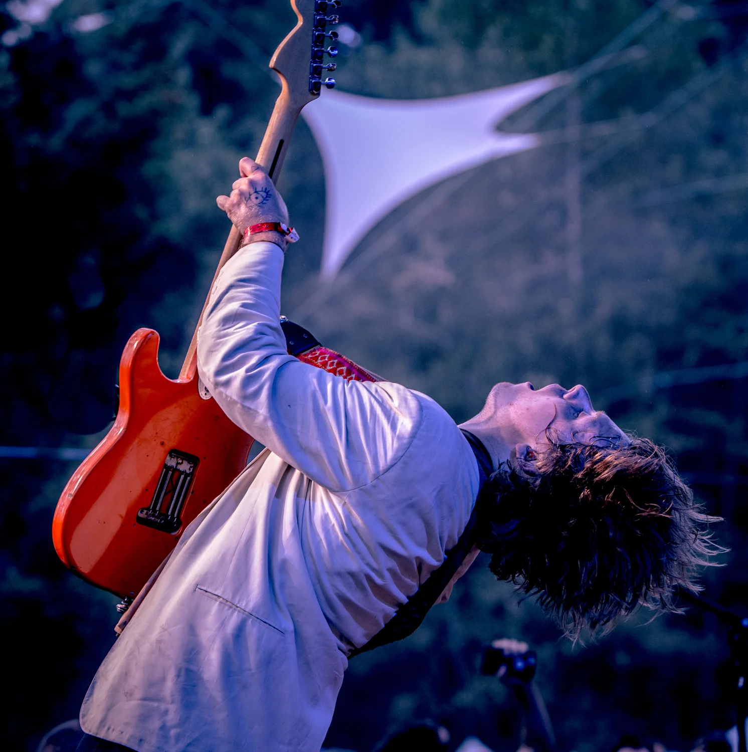 Ty Segall and The Muggers