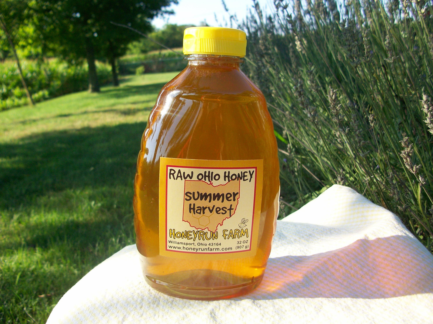Raw Honey - Ohio Summer Harvest - 32 ounce jar — Honeyrun Farm