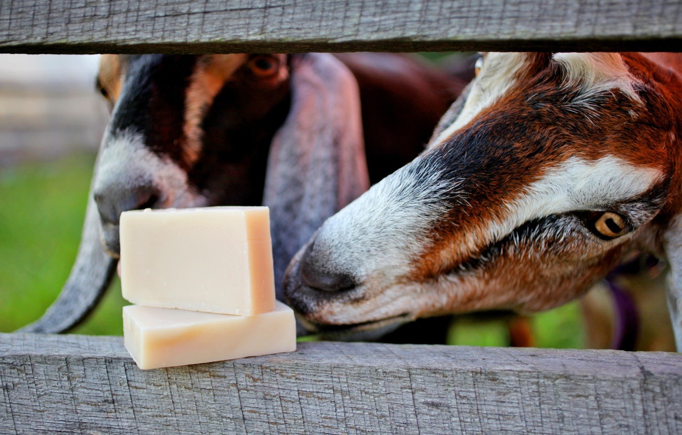 Goat's Milk Soap - natural soap made with honey and beeswax — Honeyrun Farm