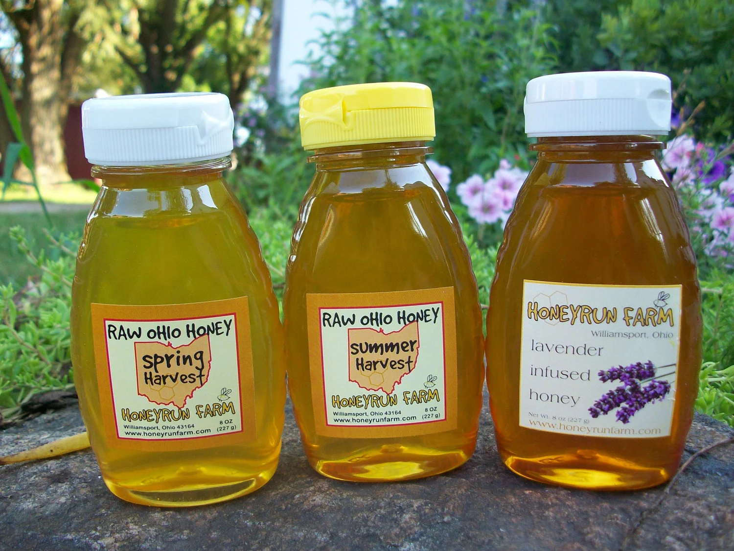 Pure Raw Honey — Honeyrun Farm