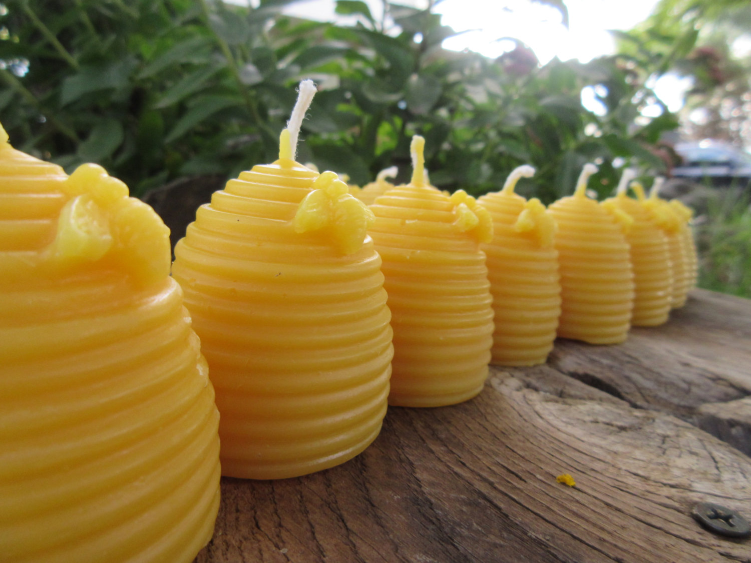 Mtlee 32 Pcs Natural Beeswax Votive Candles with Little Bee Decor 8 Colors  Beehive Honey Scented Honeycomb Shaped Votive Candles Small Candles in Bulk
