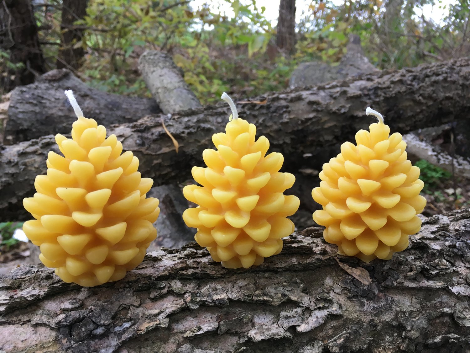 Pinecone Beeswax Candles - Set of 3 Pinecones, 1.5" wide x 3" tall — Honeyrun Farm