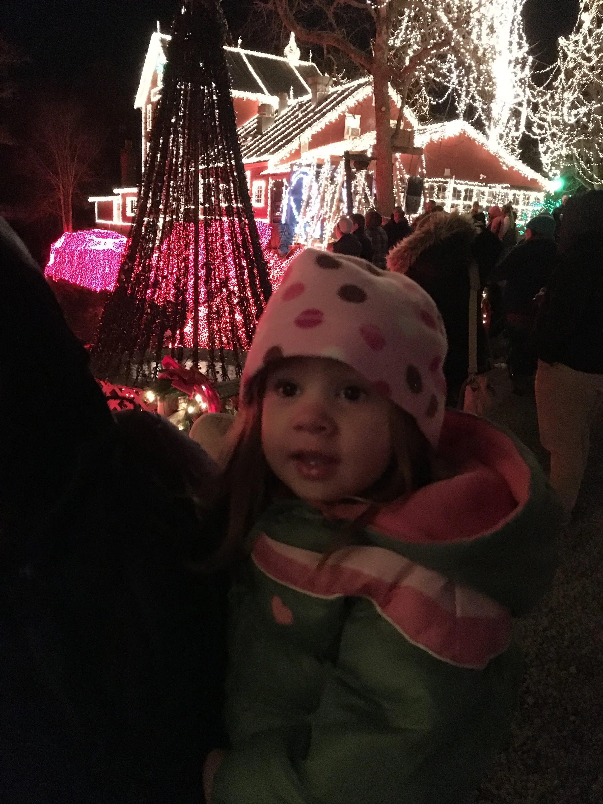 Christmas through the eyes of a two year old. (Did I lose something along the way?)