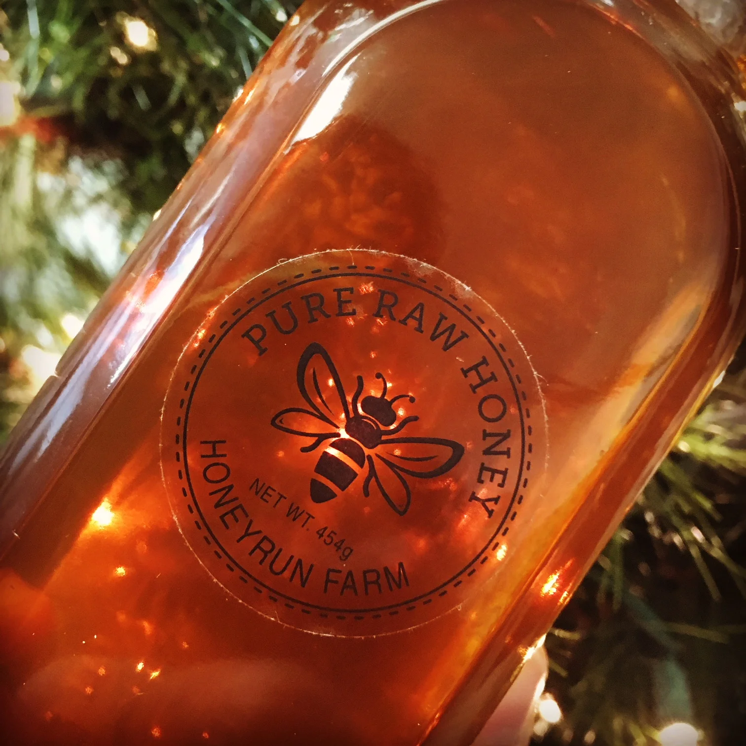 Glass Muth Jar Pure Raw Summer Honey 16 ounces — Honeyrun Farm