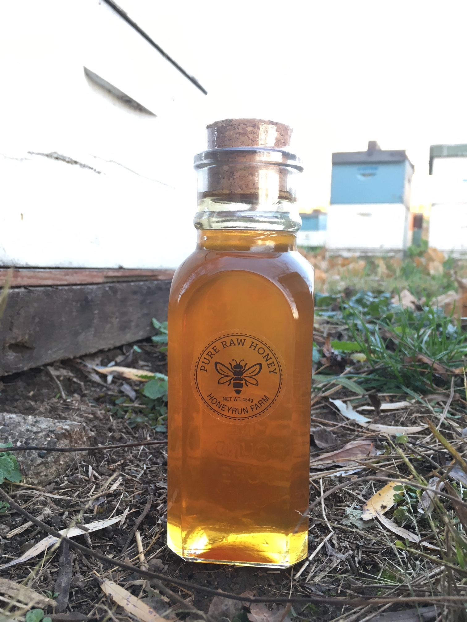 Glass Muth Jar Pure Raw Summer Honey 16 ounces — Honeyrun Farm