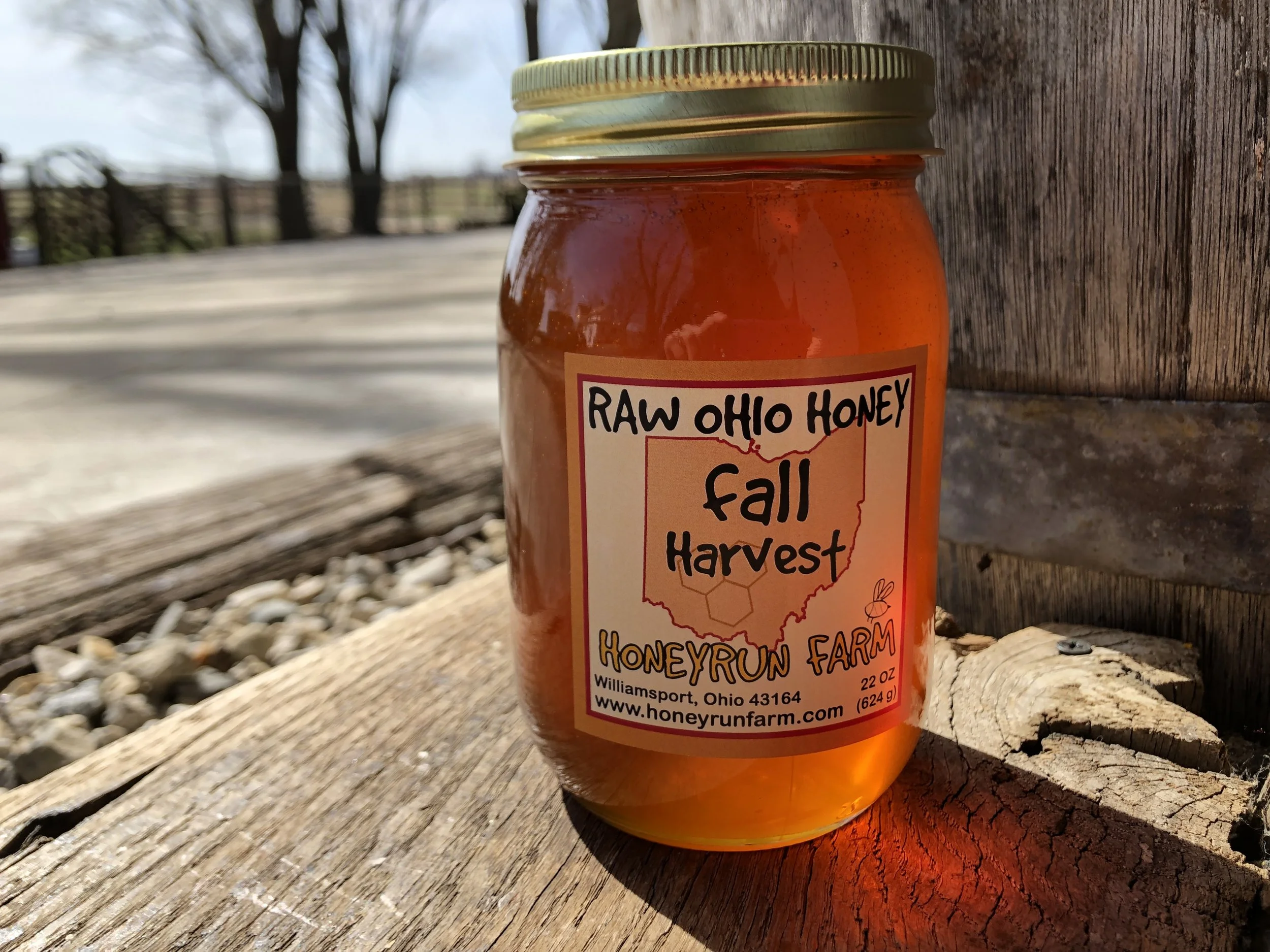 IMG_1263.JPG