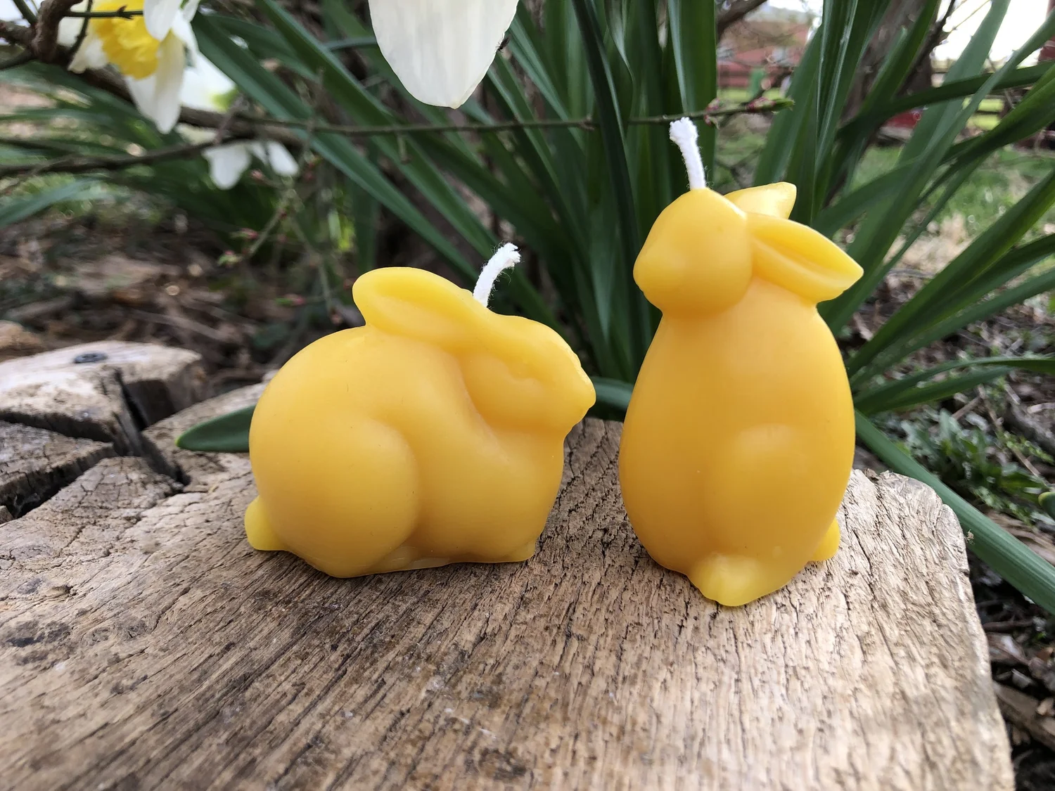 Beeswax Candles and Blocks — Honeyrun Farm