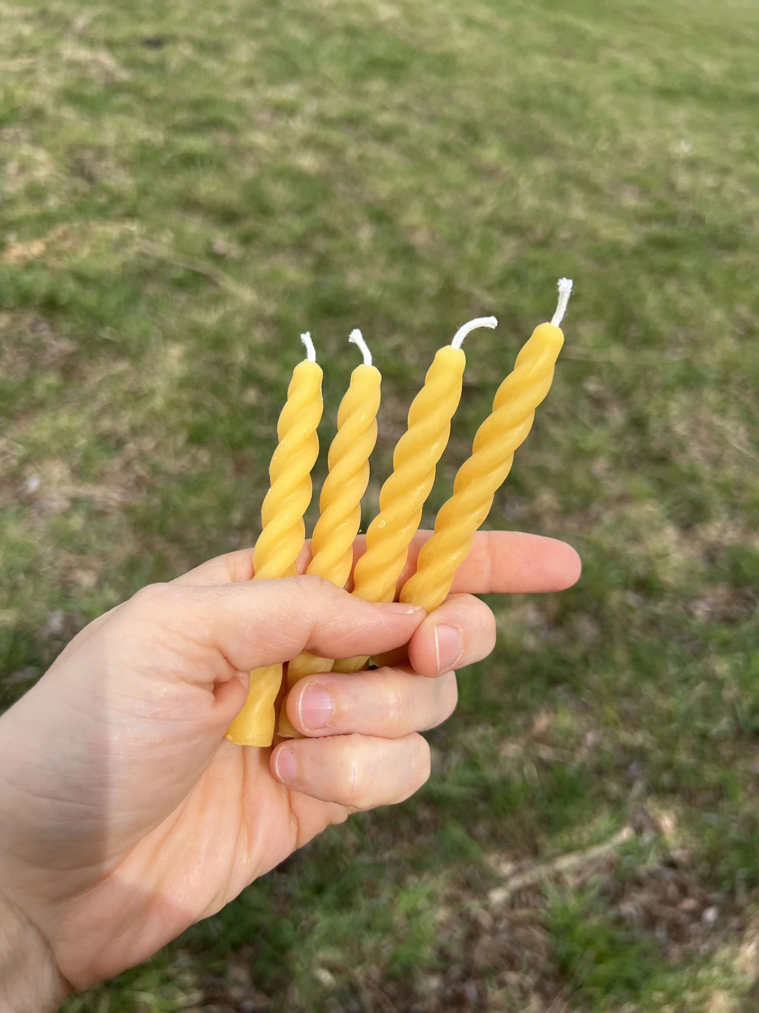 Swirled Birthday Candles - set of 10 small beeswax candles 3.75" tall