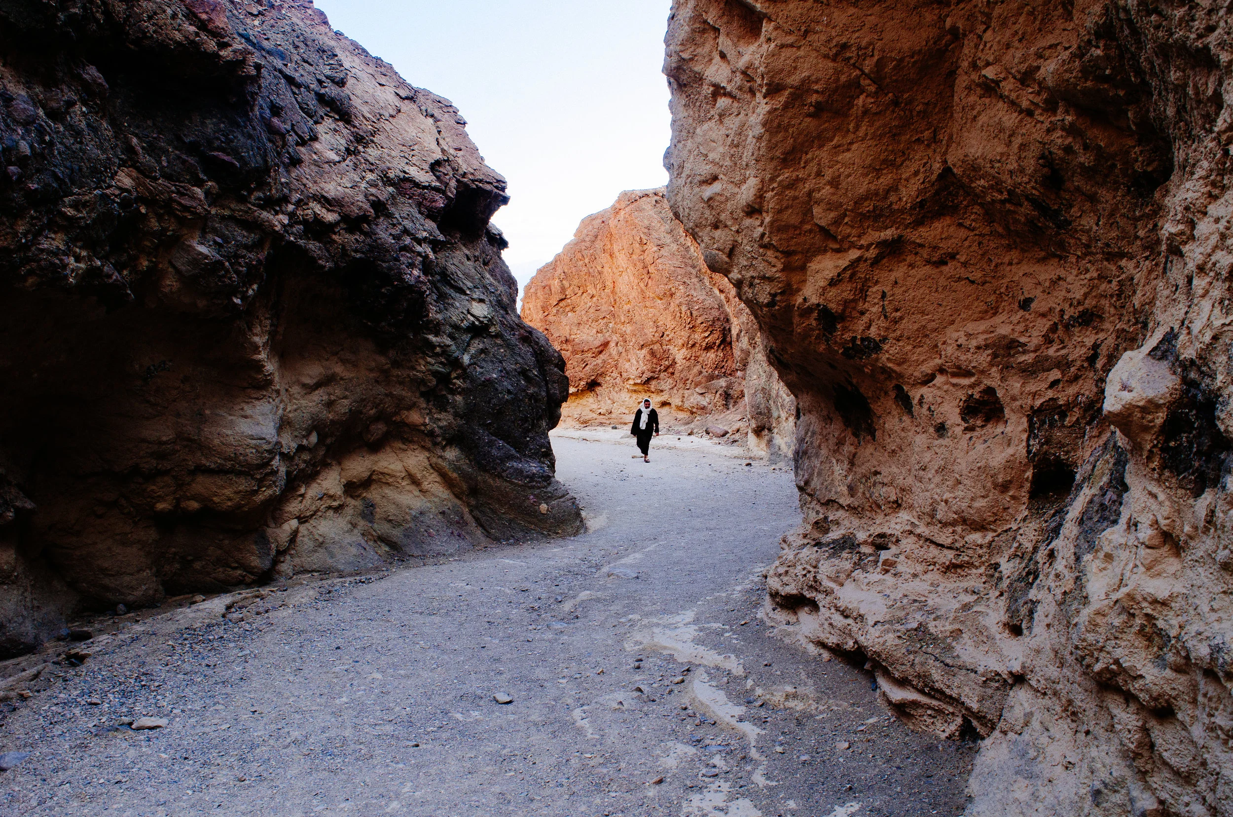 DSC_3123.jpg
