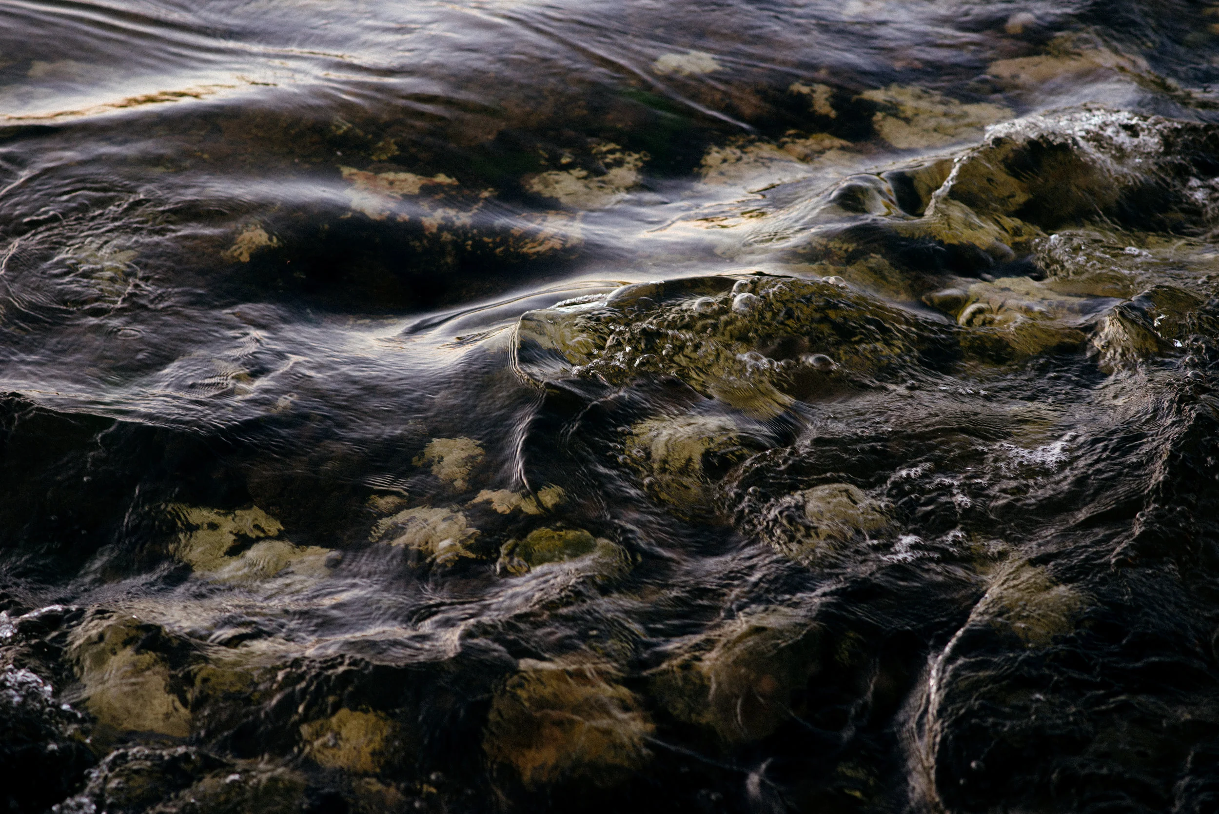 DSC_9491.jpg