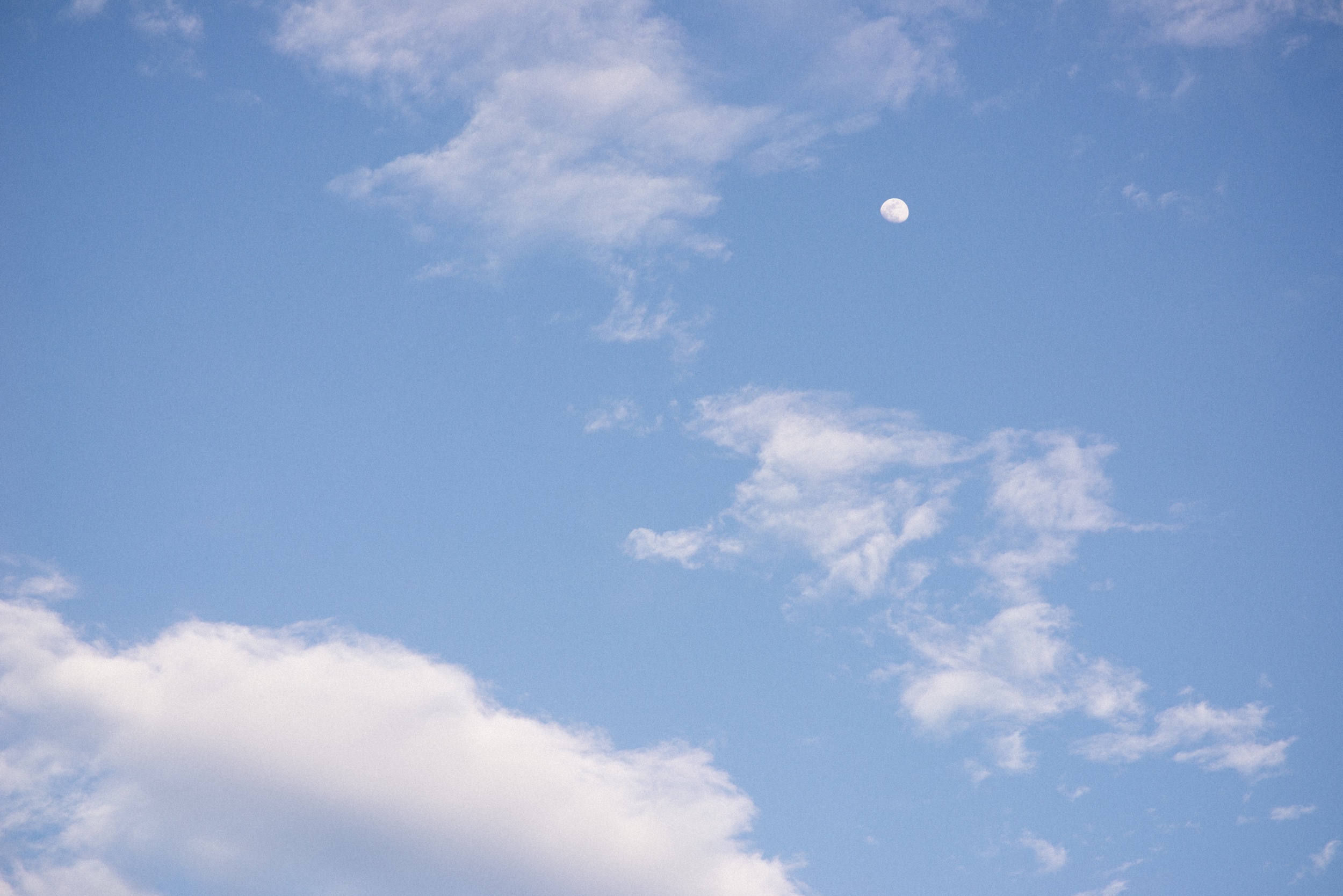 DSC_6450.jpeg