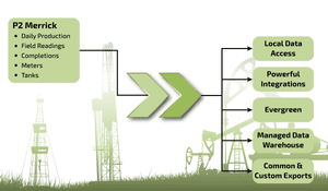 P2 Merrick (Procount) Data Management — Conduit Resources
