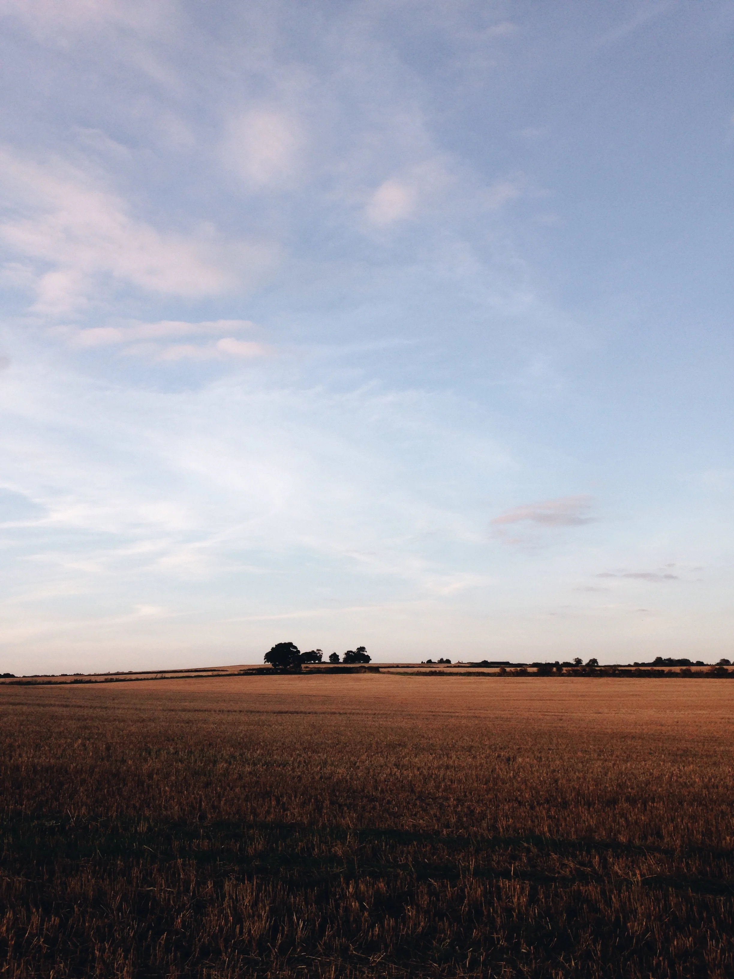 vsco-photo-5.jpg