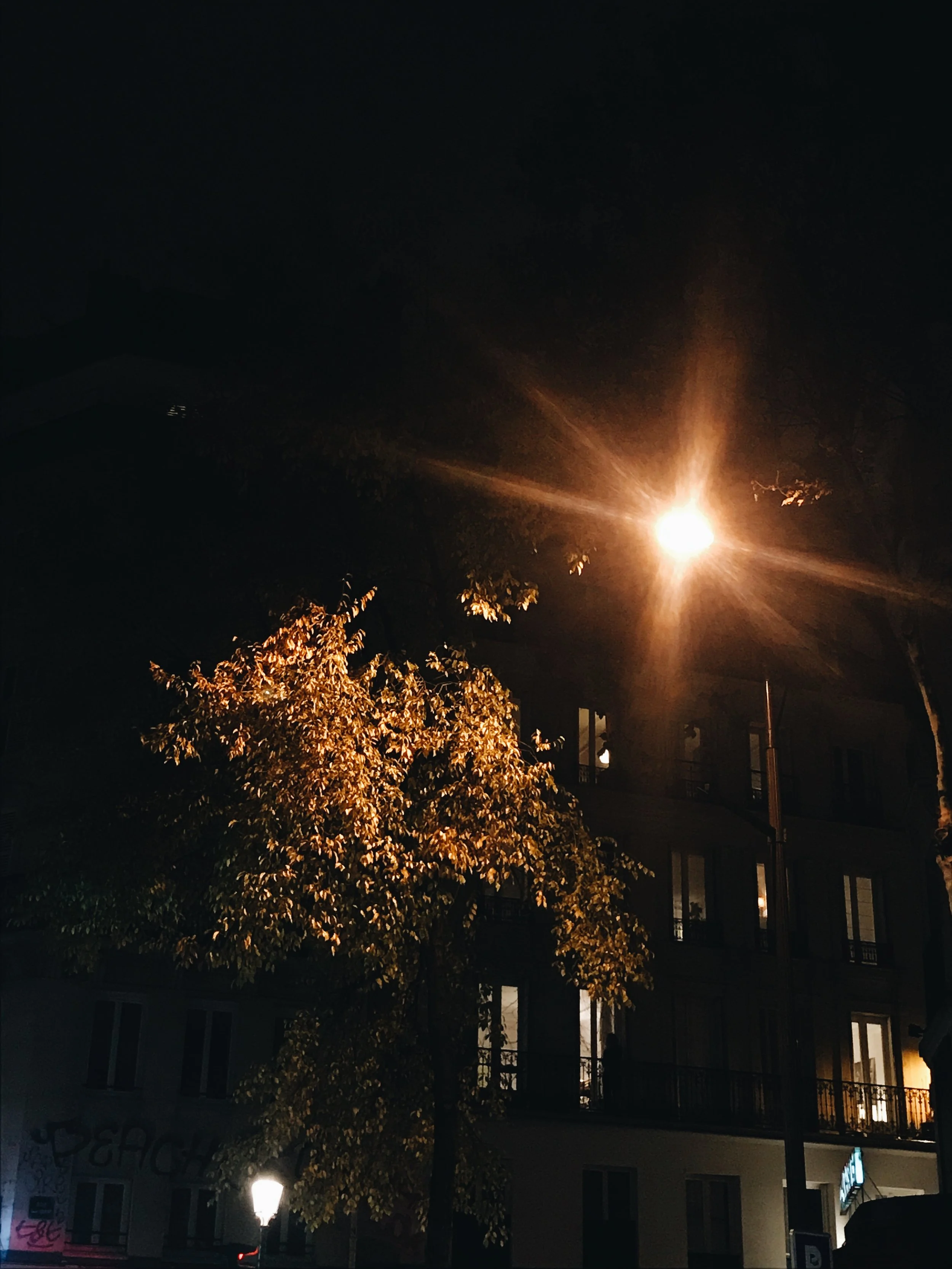 84D5431B-D810-4196-9BE2-C5C3D60500ED.jpeg