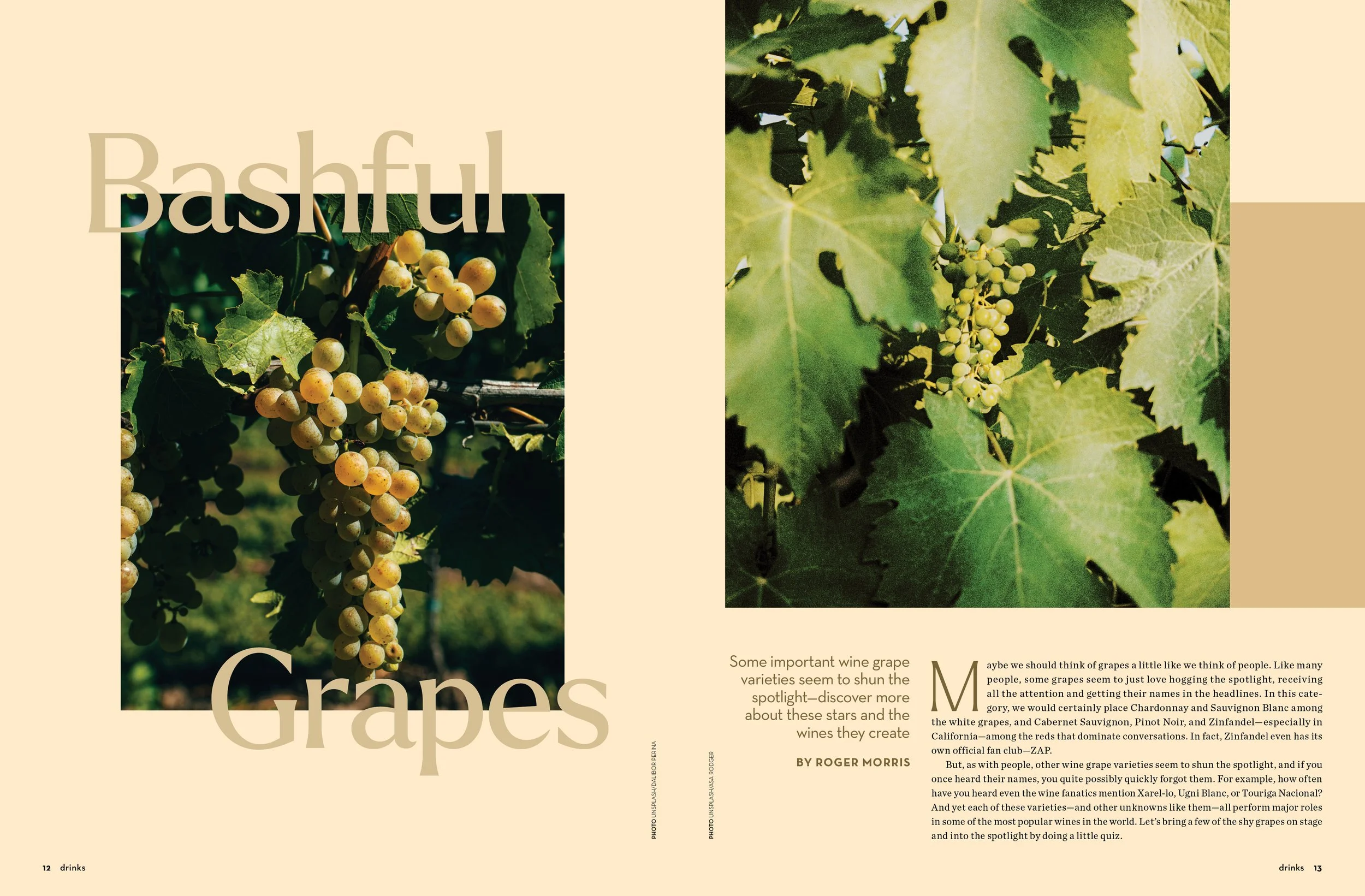 DKS223_BashfulGrapes.jpg