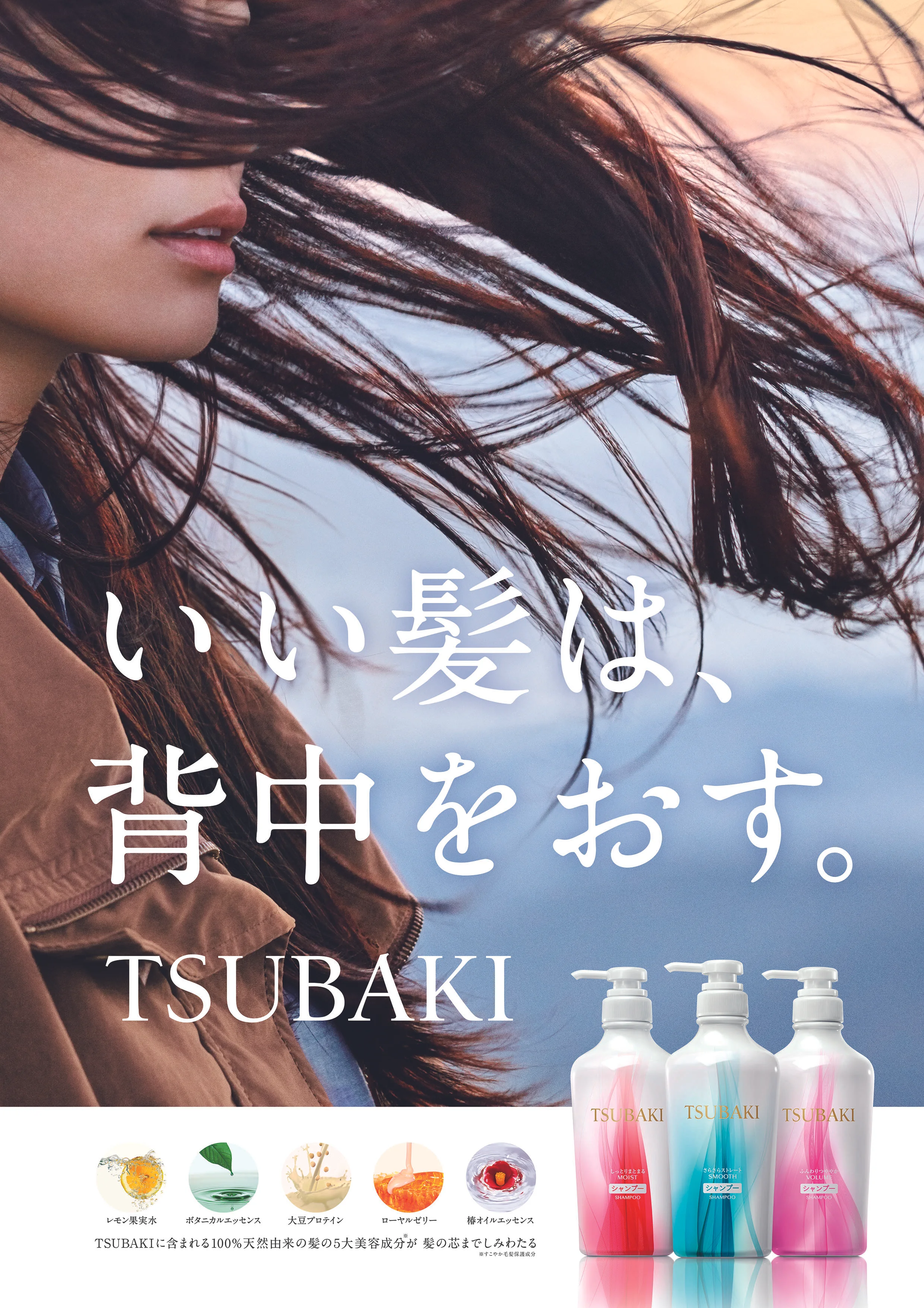 TBK_B1_1_180308.jpg