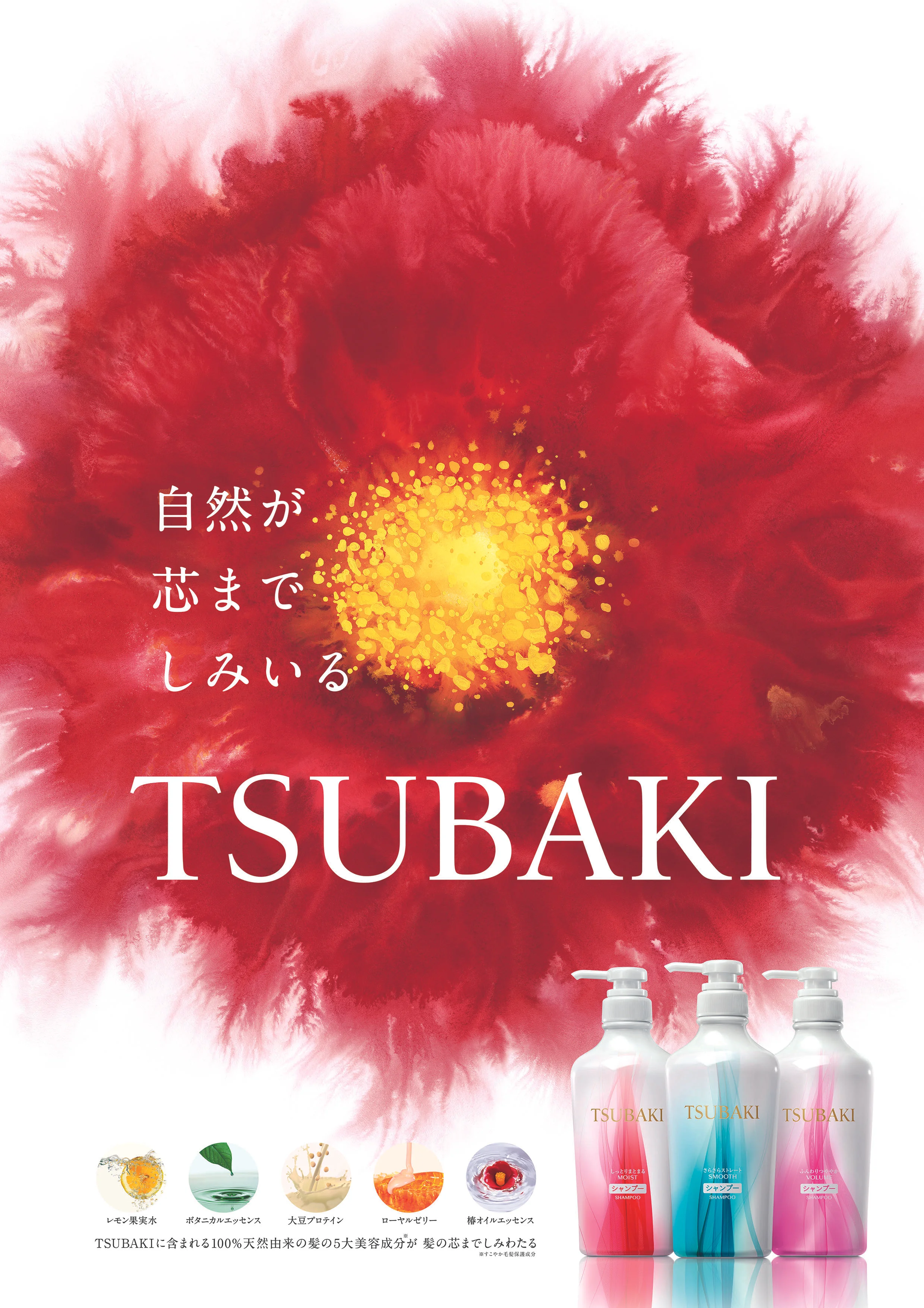 TBK_B1_2_180308.jpg