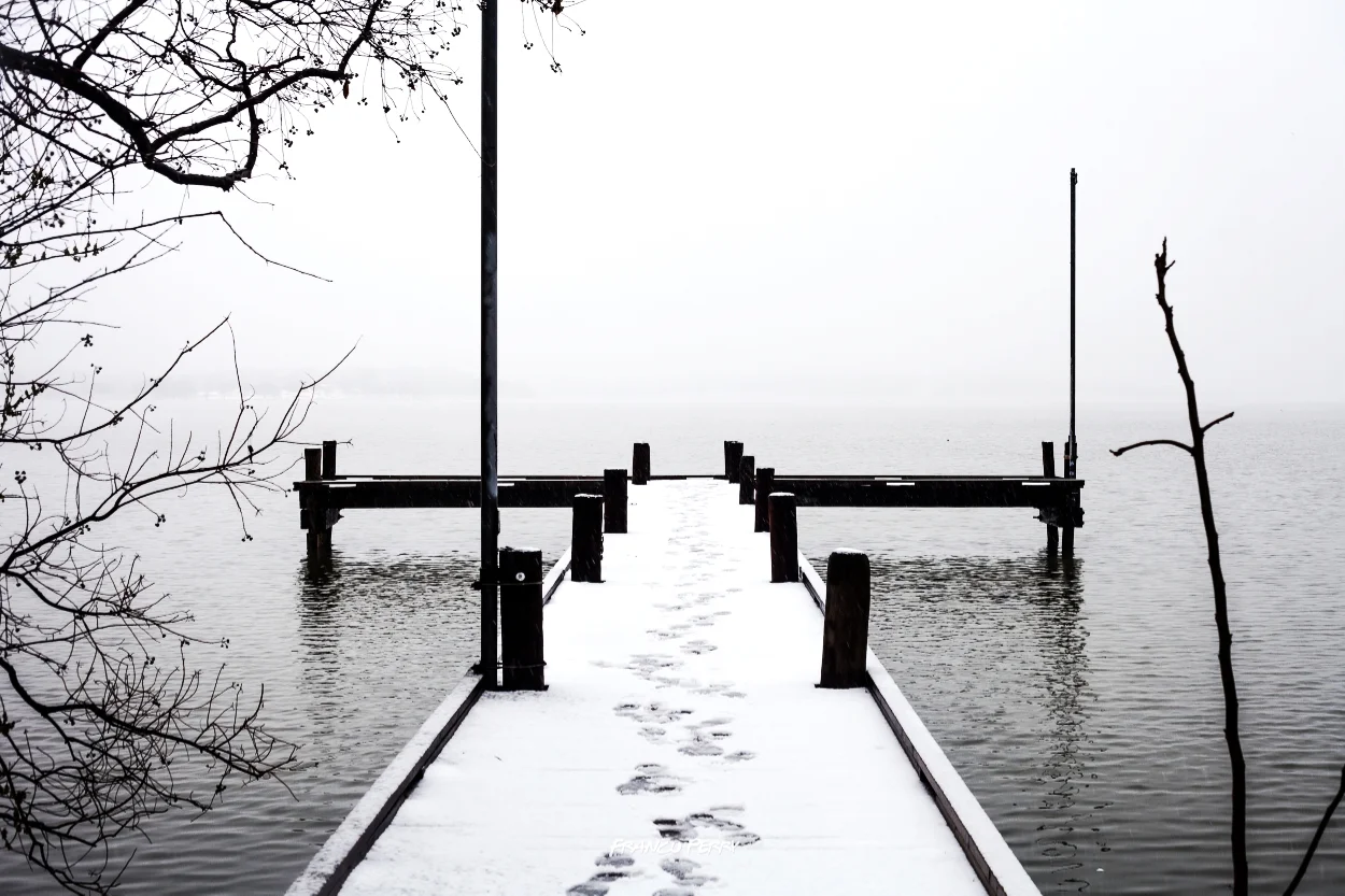 Snow Day-5.jpg