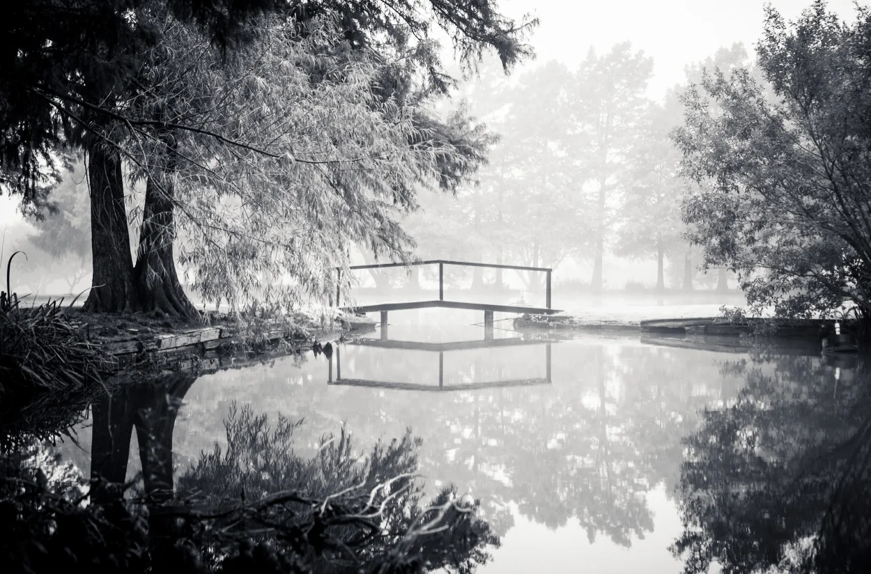 Fog Day 2015-03375.jpg