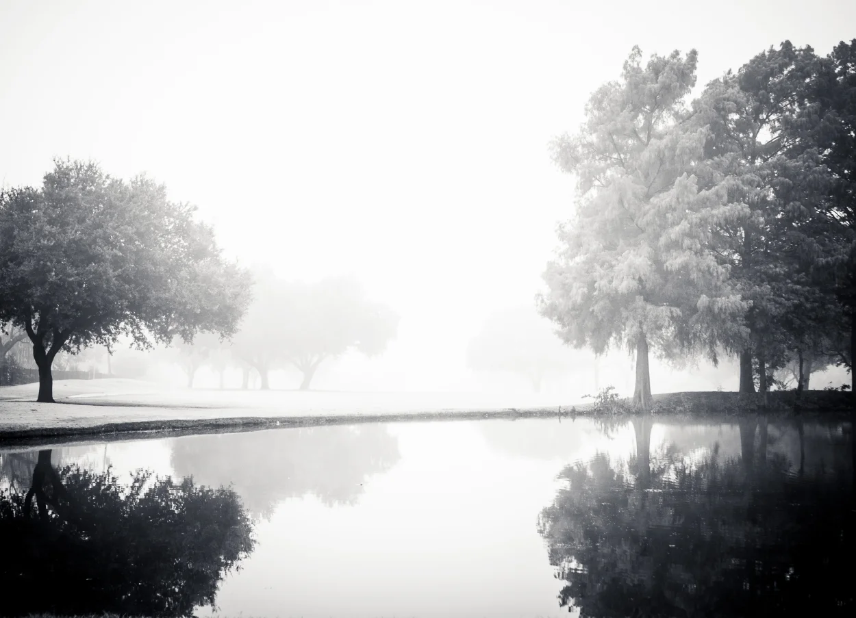 Fog Day 2015-03384.jpg