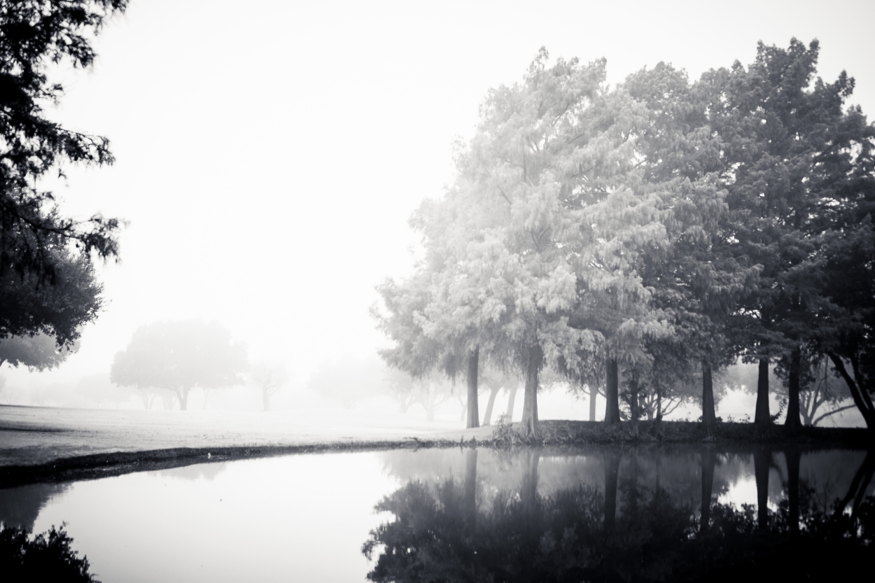 Fog Day 2015-03379.jpg