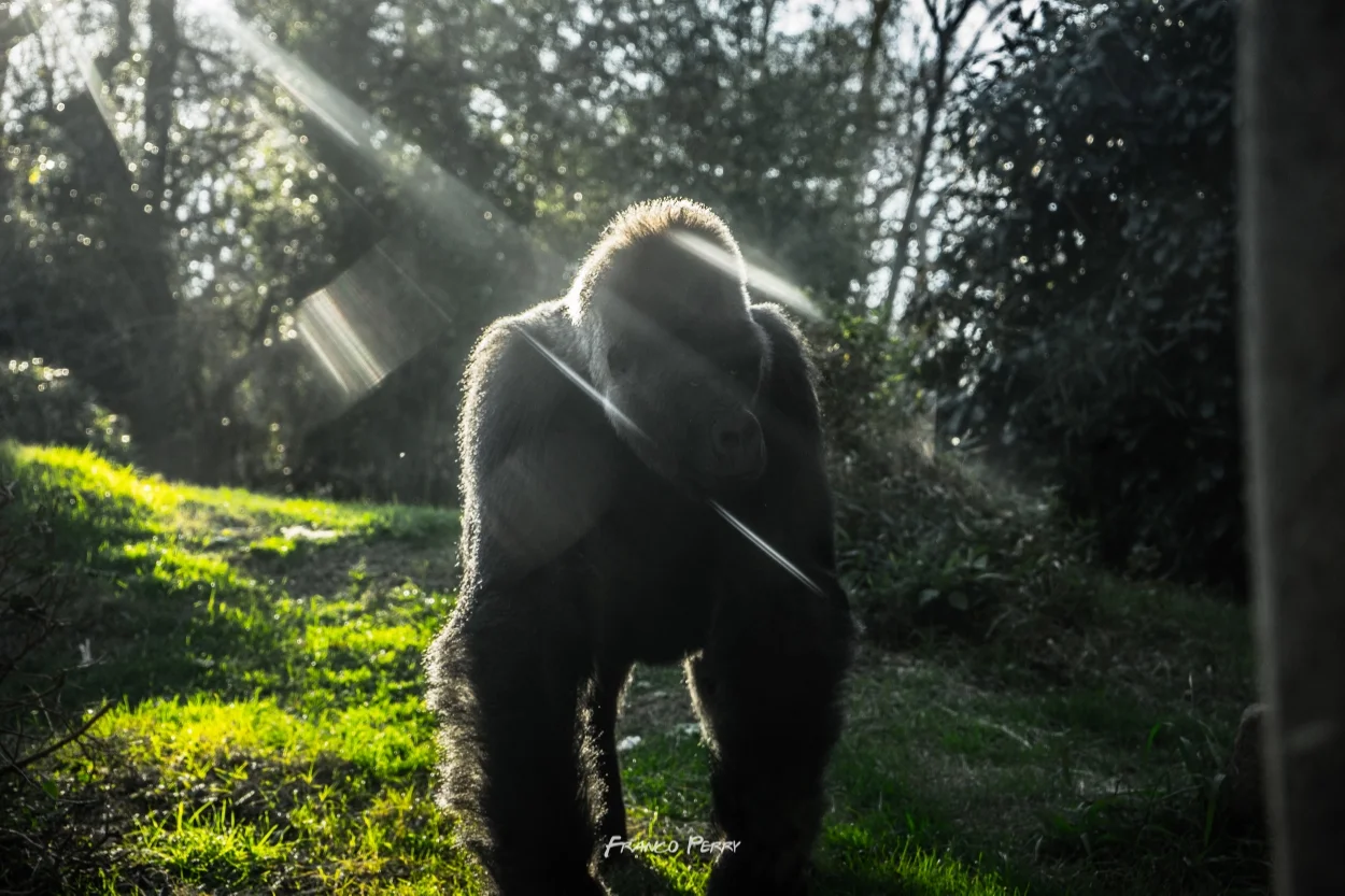 Ft_Worth_Zoo 1-9-2016-08111.jpg