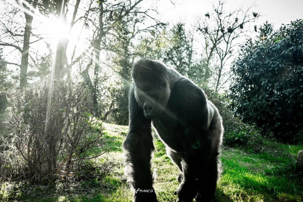Ft_Worth_Zoo 1-9-2016-08121.jpg