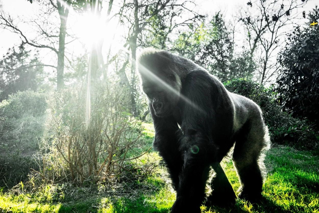 Ft_Worth_Zoo 1-9-2016-08125.jpg