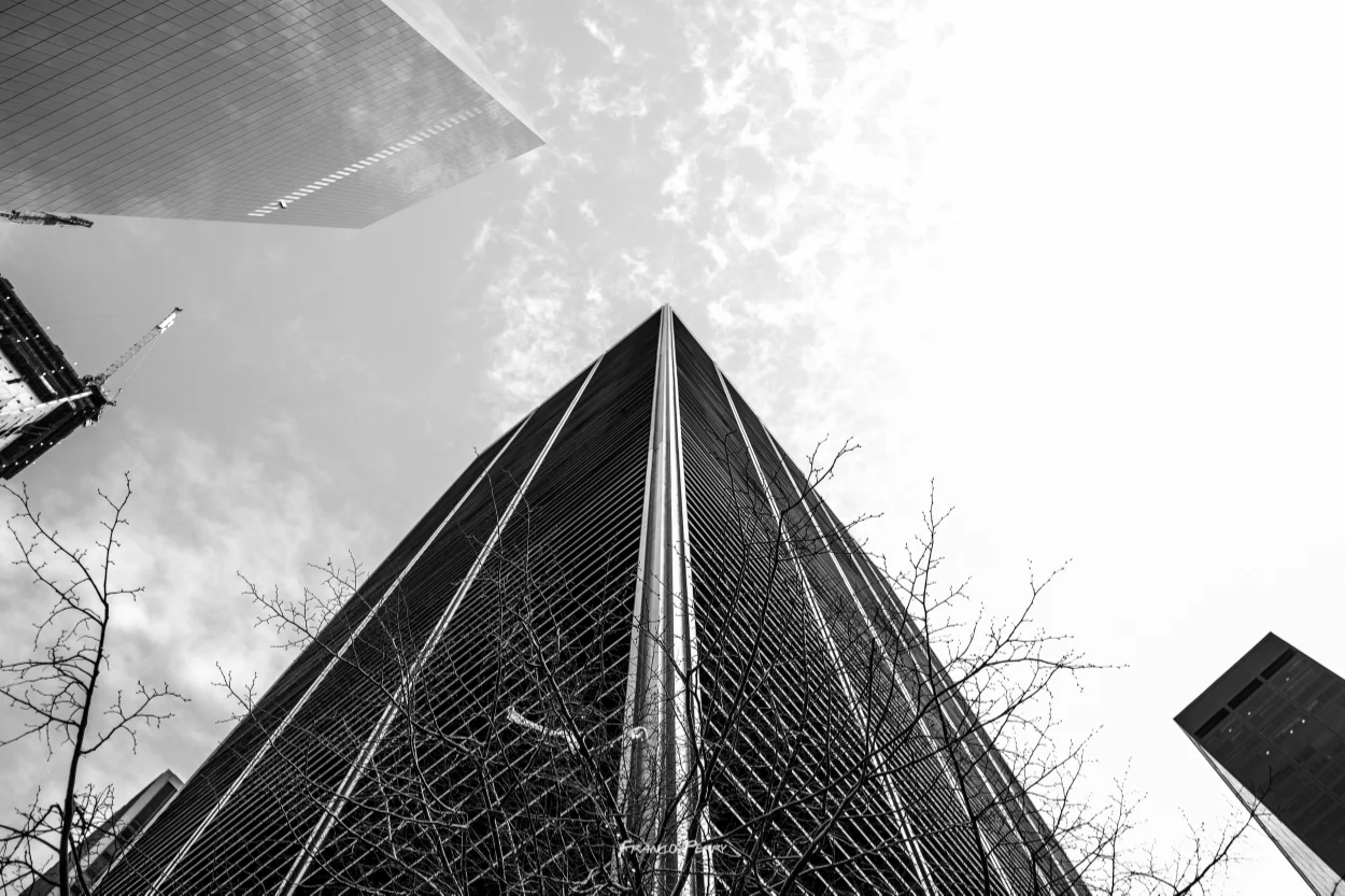 NYC (12-10-12-15)-06136.jpg