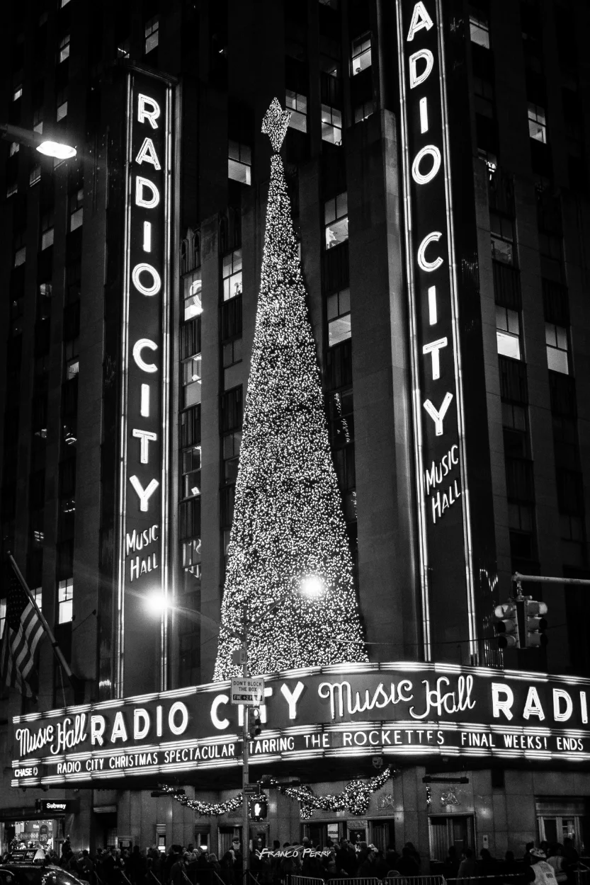 NYC (12-10-12-15)-07266.jpg