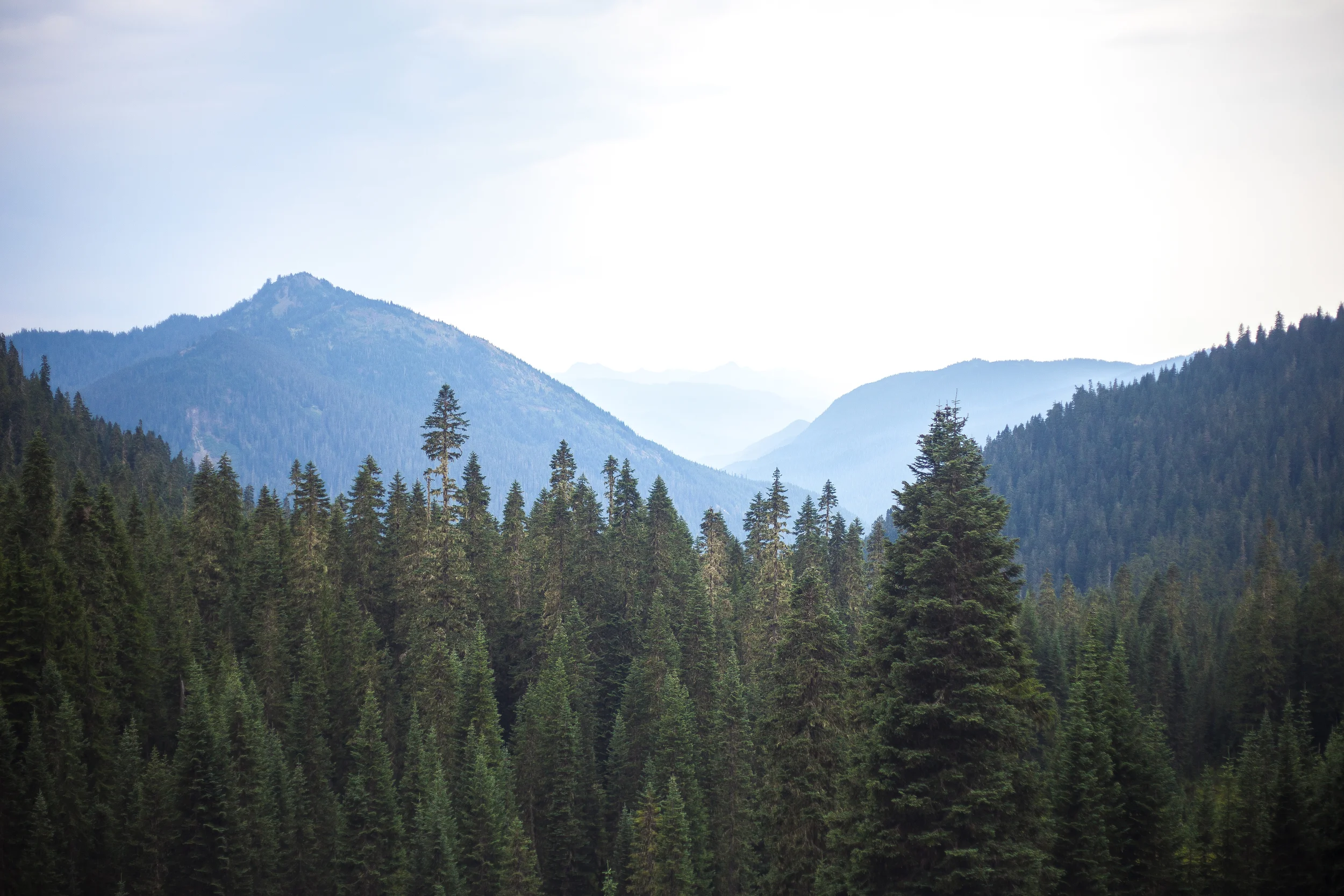 Rainier-4495.jpg