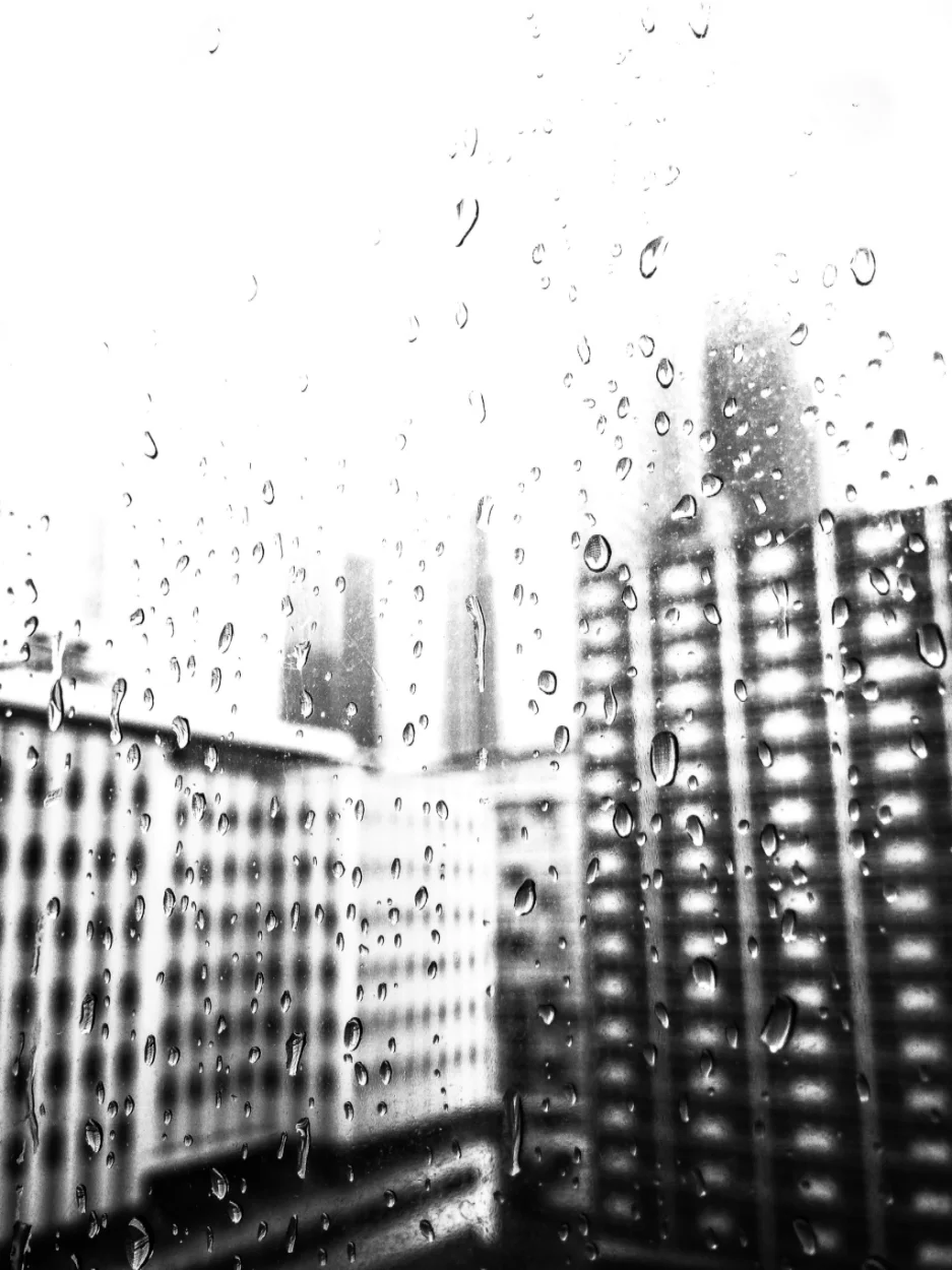 Raindrops2_DaneDavis.jpg