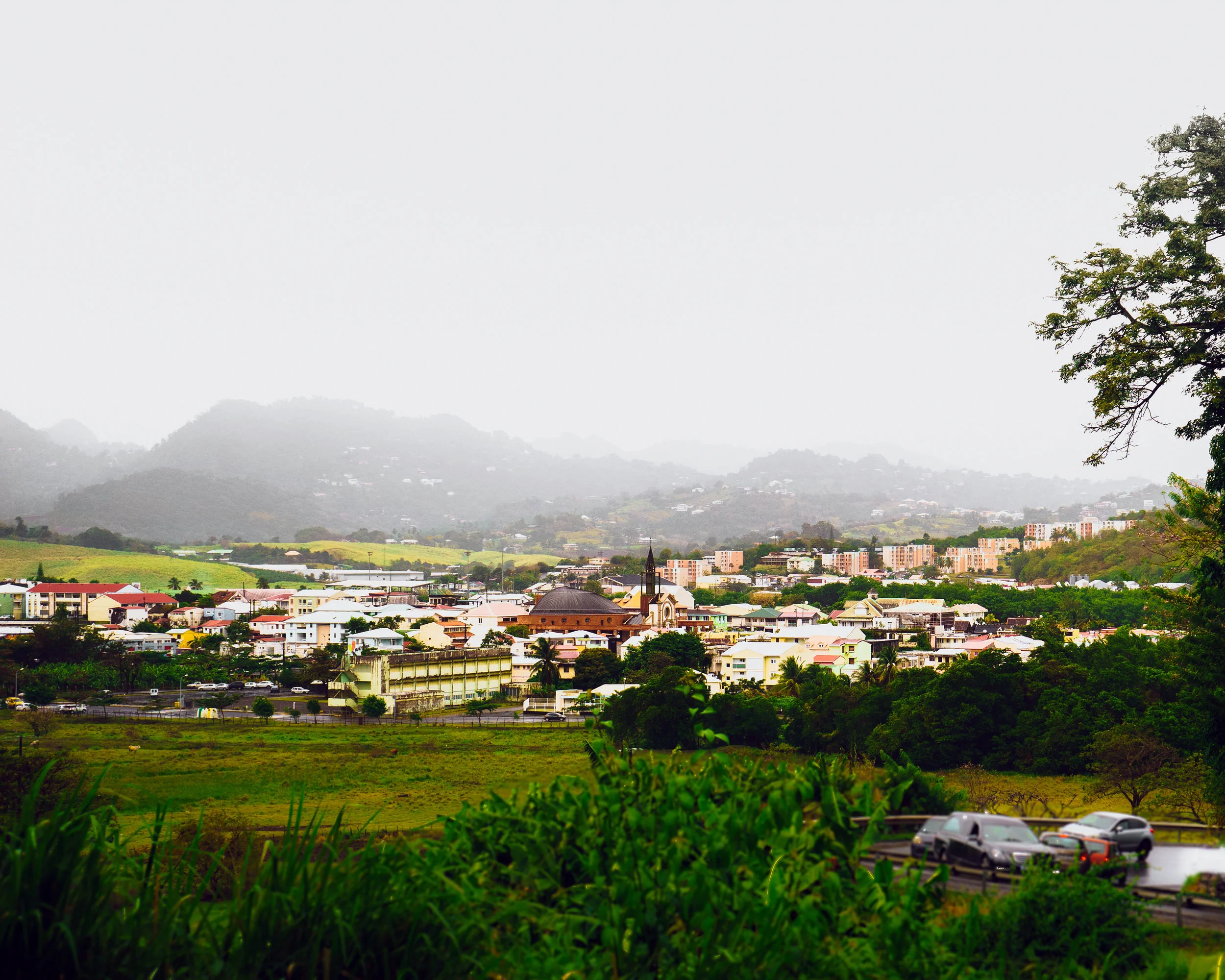 DSC02668_01.jpg
