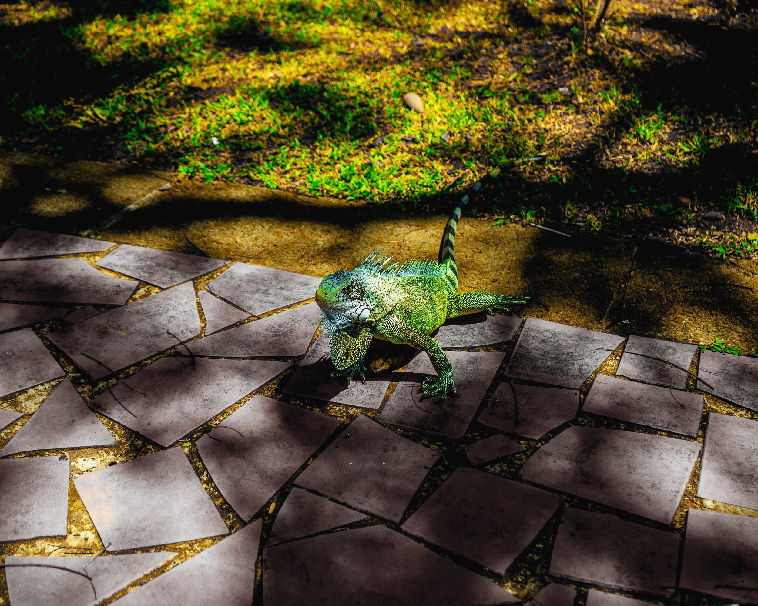 DSC03512_01.jpg