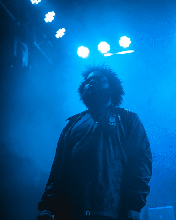 ezgif.com-video-to-gif (1).gif