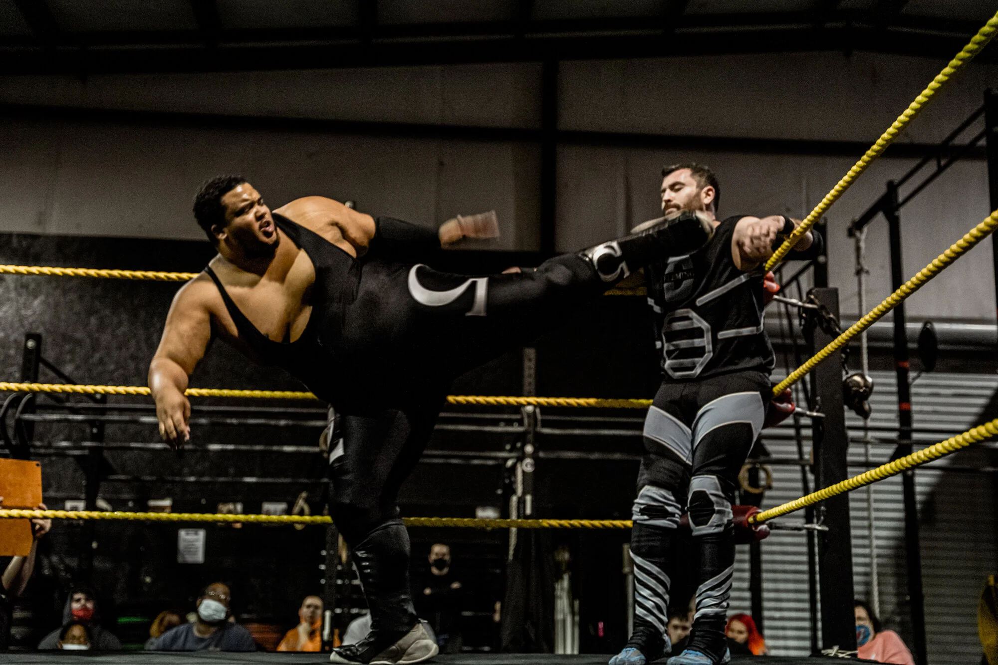 DSC00490.jpg