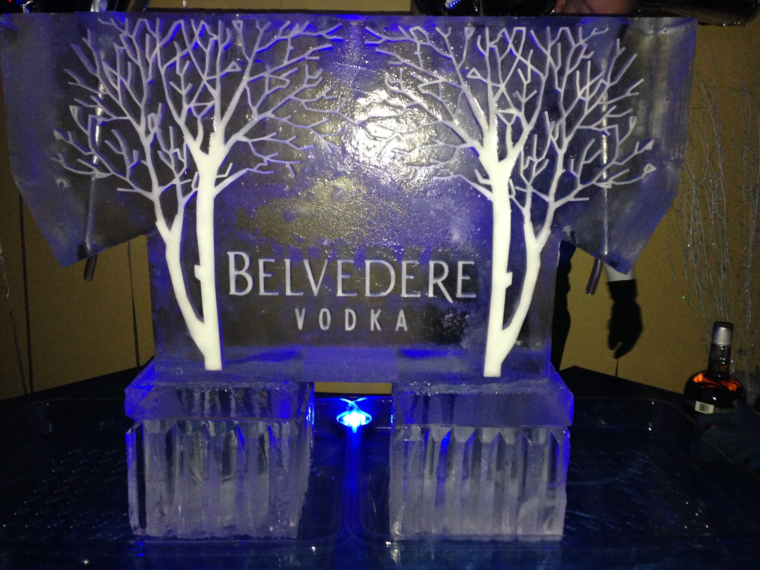 11) Belvedere Vodka Ice Sculpture