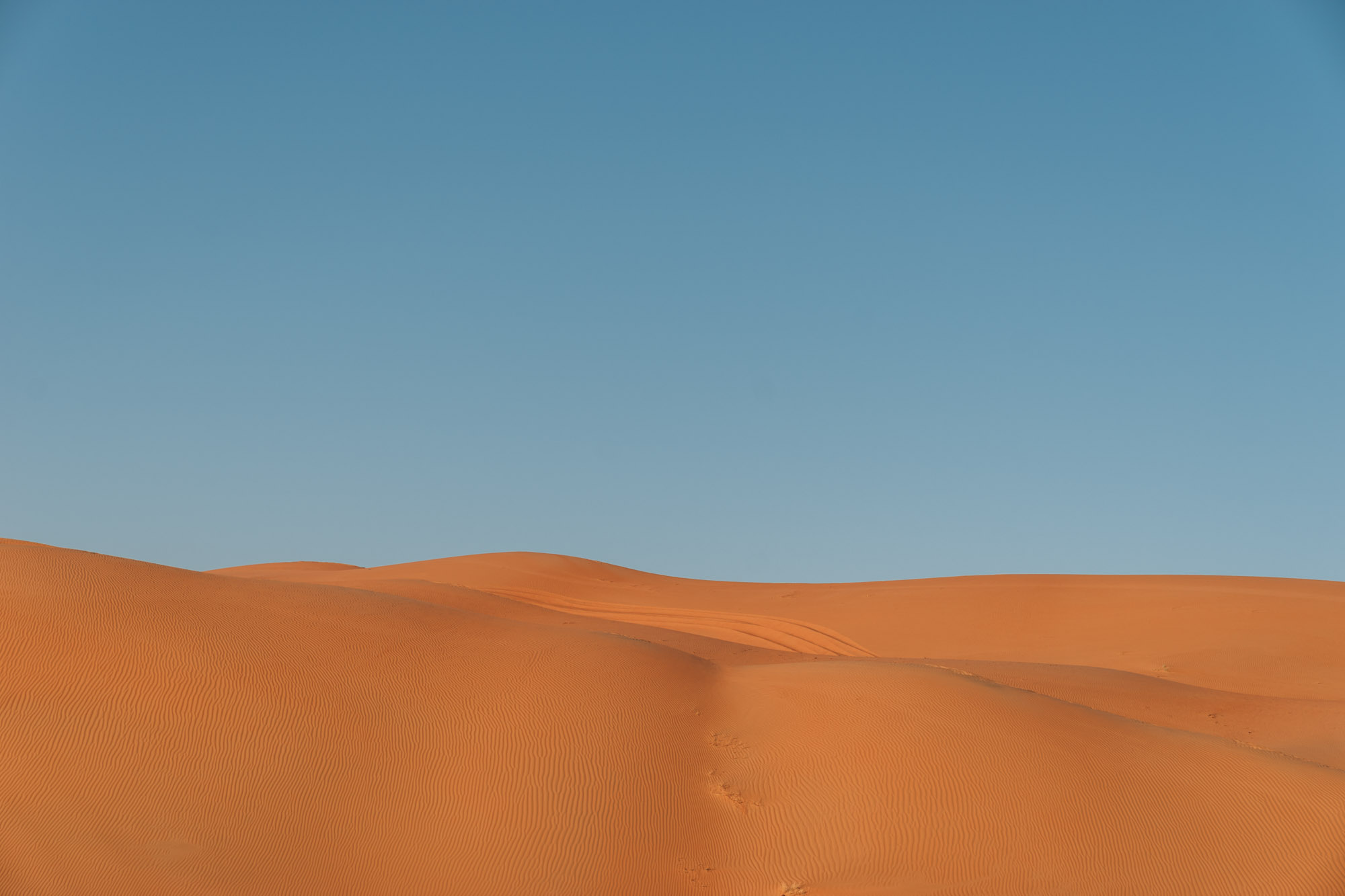 background.jpg