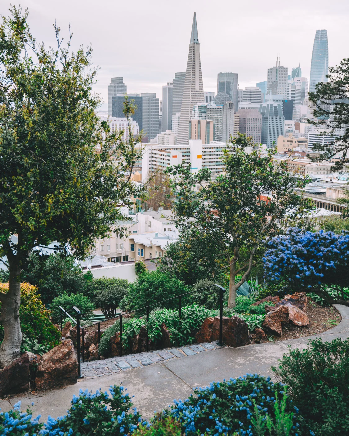 sasha@sanfrancisco-instagram-product-2.jpg