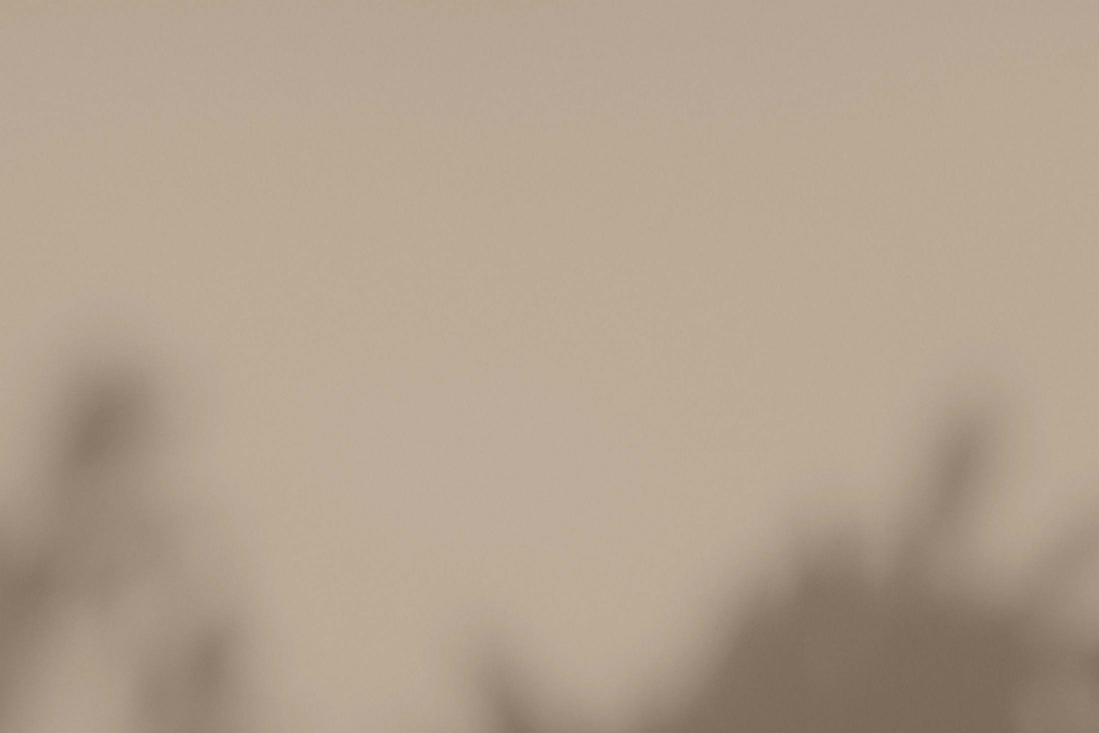 bg-project.jpg