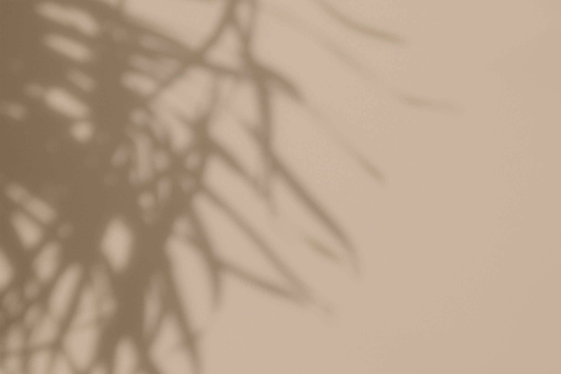 bg-shadow2.jpg