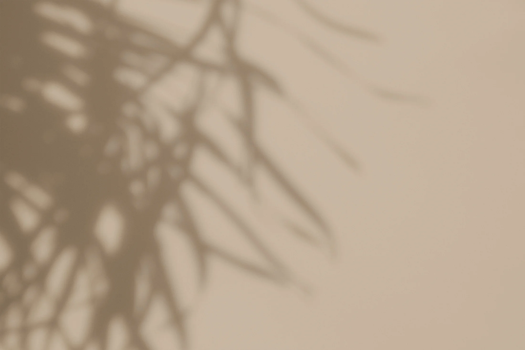 bg-shadow2.jpg