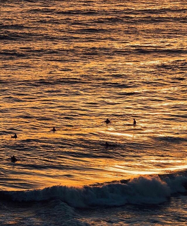 Today is the #worldoceanday2020 almost forgot in the midst of what&rsquo;s happening. thank you @sanfranpsycho for reminding me. Nature brings peace to us all, always. If you can, find a moment of solitude to walk outside, breath fresh air, sans mask